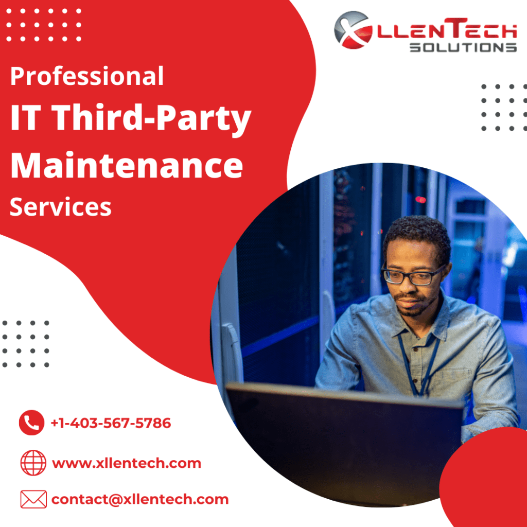 Professional IT Third-Party Maintenance Services
