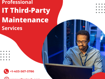 Professional IT Third-Party Maintenance Services