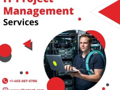 IT Project Management Services